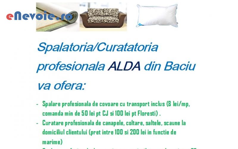 1spalatorie-covoare-casa-si-gradina--sc-spalatorie.png