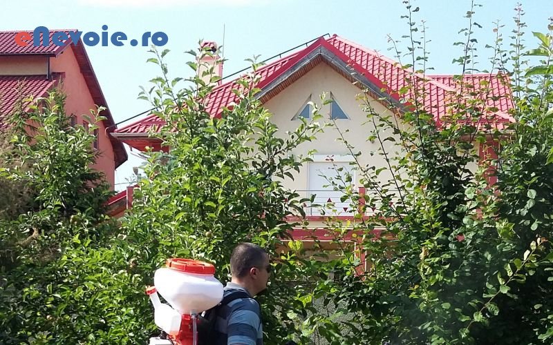 3amenajari-exterioare-casa-si-gradina--sc-stylish-flu.png