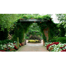 Avatar profil-utilizator/sc-stylish-flowers-design-srl-9623-2d/sc-stylish-fl-amenajari-exterioare-casa-si-gradina--20170227172118.png