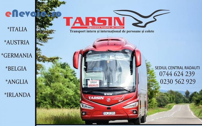 3transport-agabaritic-inchirieri-auto-inchirieri-masini-de-transport-transport-persoane-transport-marfuri-transport-depozitare--sc-tarsin-zal.png