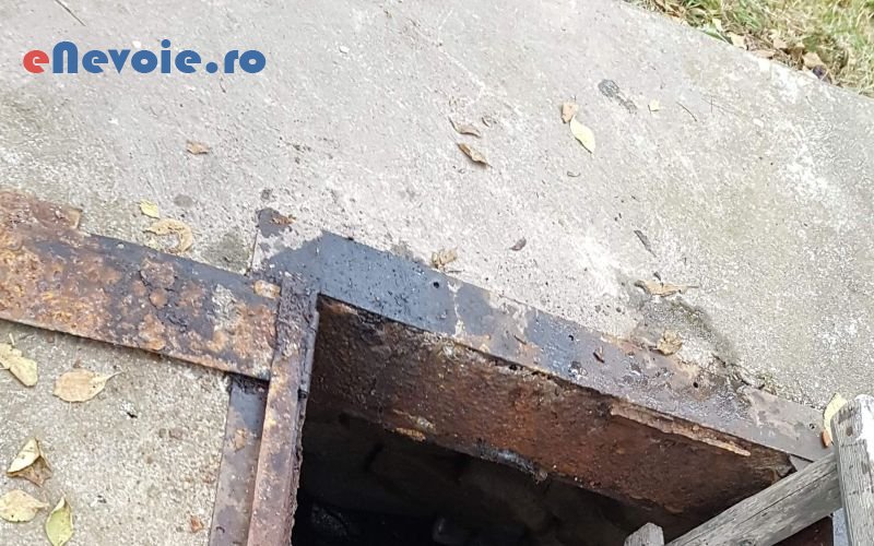 4curatenie-casa-si-gradina--sc-tcm-vacum-.png