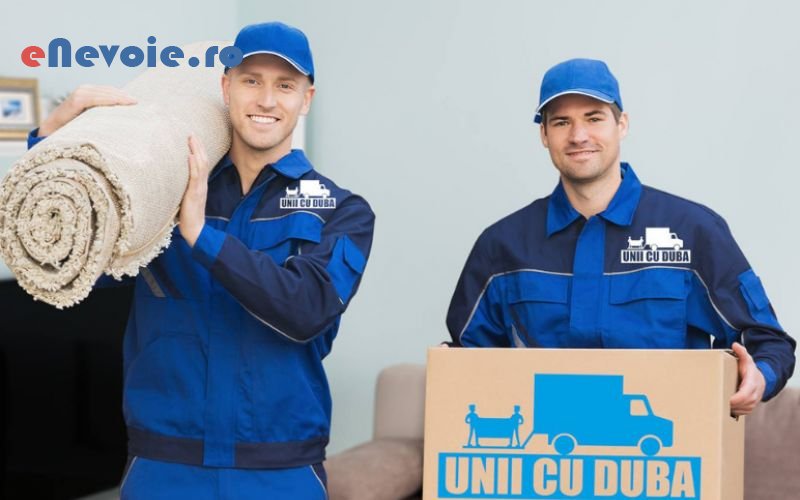 4servicii-depozitare-servicii-mutari-inchirieri-auto-inchirieri-masini-de-transport-transport-marfuri-transport-depozitare--sc-unii-cu-du.png