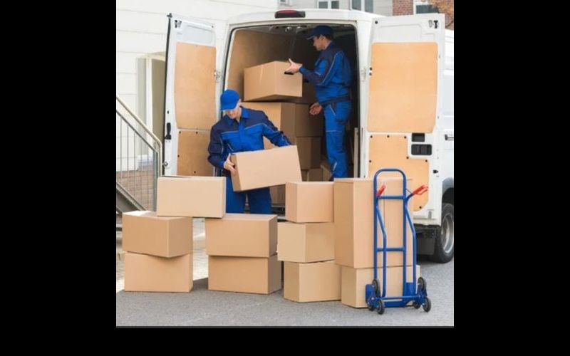 2servicii-mutari-transport-marfuri-transport-depozitare--sc-valentin-m.png