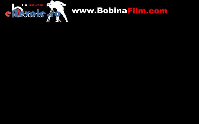optimizare-website-uri-servicii-it-consultanta-it-creare-website-uri-consultanta-contabilitate-it--seo247-8668-593.png