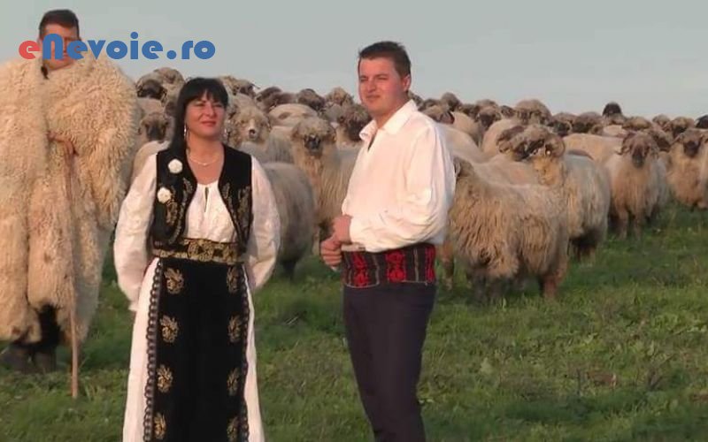 formatie-muzicala-organizari-evenimente--septimiuonea-2206-de5.png