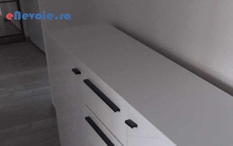 4montare-mobila-reparatii-tamplarie-tamplarie-lemn-reparatii-mobilier-mobila-la-comanda-mobilier-si-tamplarie--severian-evlai.png