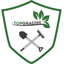 Avatar profil-utilizator/stefan-iuruc-6525-be/stefan-iuruc-terase-gradina-amenajare-si-intretinere-spatii-verzi-amenajari-exterioare-casa-si-gradina--20170224102102.png