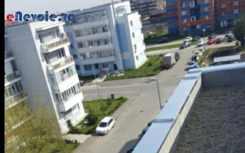 Imagine din portofoliu de lucrari