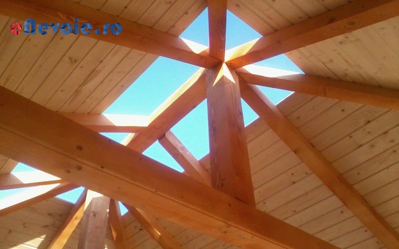 Imagine din portofoliu de lucrari