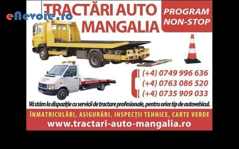 inchirieri-masini-de-transport-transport-depozitare--tractariautomangalia-6636-3b6.png